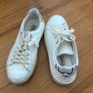 STEVE MADDEN | Steve Madden White leather Snakeskin Platform Sneakers Size 6